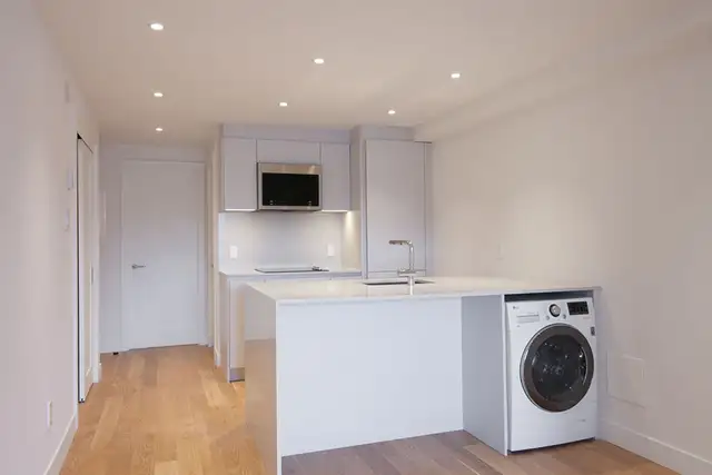 renovated one bedroom apartment near McGill - ID 3172