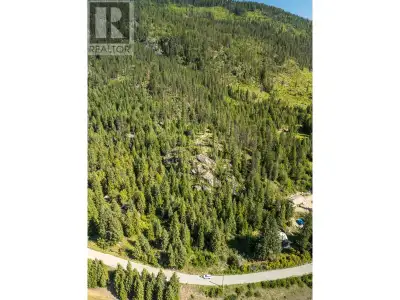 Great location! Offering 7.32 treed, unzoned acres just west of the beautiful town of Salmo, this pr...