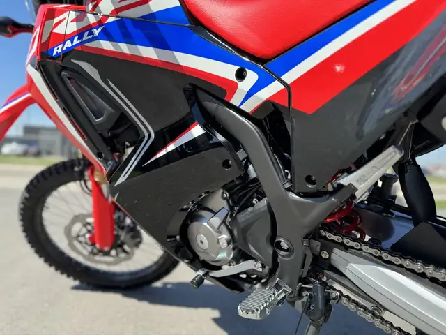 2024 Honda CRF300L Rally ABS in Street, Cruisers & Choppers in Kitchener / Waterloo - Image 8