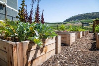 Broadstreet's Lindgren Manor offers 1, 2, and 3 bedroom pet friendly apartments for rent in northeas... (image 3)