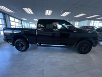 ===== Key Features ===== * Only 16,477 km * One Owner * No Reported Accidents * Tradesman Trim * 4WD... (image 4)