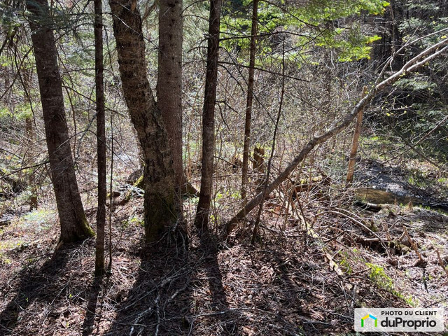 131 850$ - Terre à bois à vendre à New Richmond dans Terrains à vendre  à Gaspésie