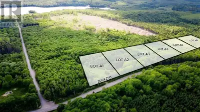 Wonderful opportunity to build your dream home in the quaint community of Lake Paul! Within 15 minut...