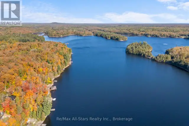100 RUSSELL DRIVE Trent Lakes, Ontario in Land for Sale in Muskoka - Image 2