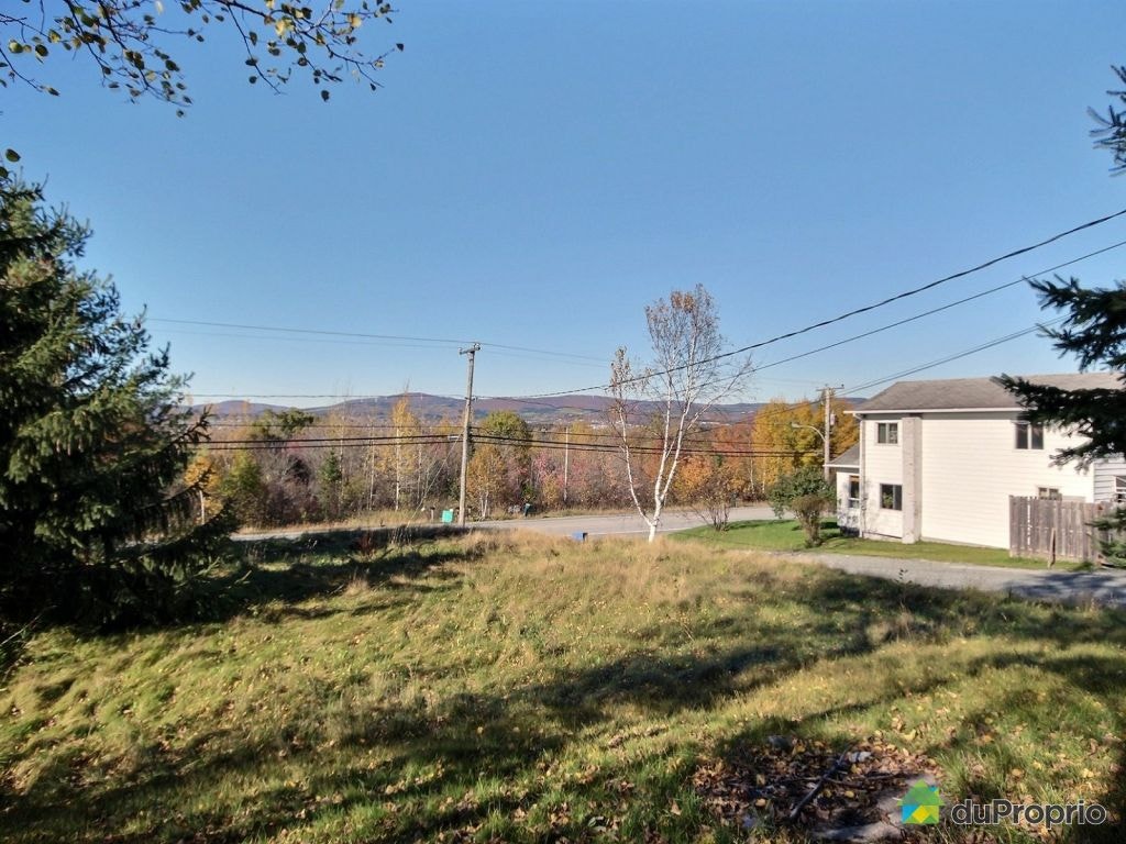 $350,000 - Triplex for sale in Thetford Mines — photo 3