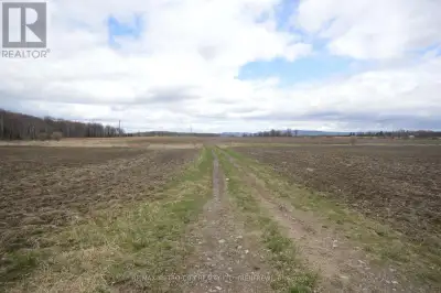 100 acre parcel of land with approximately 72 acres systematically tile drained. 14 acres located at...