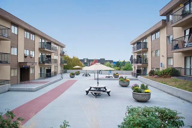 Stunning  2 bedrooms - Call today! in Long Term Rentals in Vancouver - Image 12
