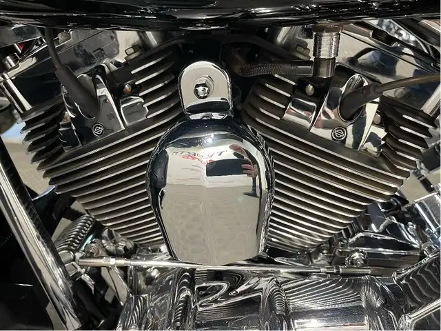 2009 Harley-Davidson Street Glide CANADIAN HARLEY/STAGE 1/RINEHA in Sport Touring in North Bay - Image 21