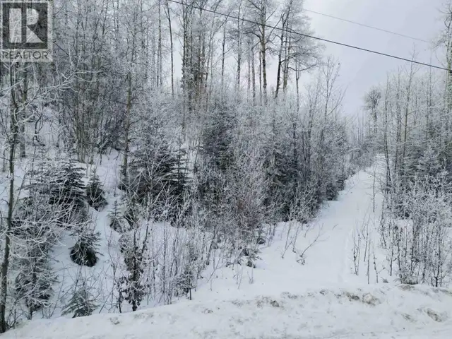 LOT A BALD HILL ROAD Burns Lake, British Columbia in Land for Sale in Burns Lake - Image 20