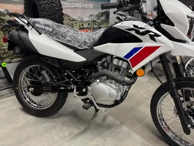 2025 HONDA XR 150 LS Dual Sport White in Street, Cruisers & Choppers in Winnipeg - Image 2