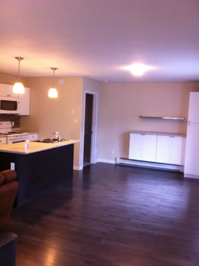 456 Haig St #1 - 2 bedroom apt for rent in Long Term Rentals in Sudbury - Image 5