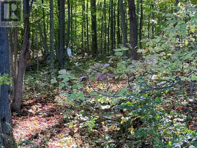 1315 CONCESSION 8 CONCESSION Kincardine, Ontario in Land for Sale in Owen Sound - Image 33