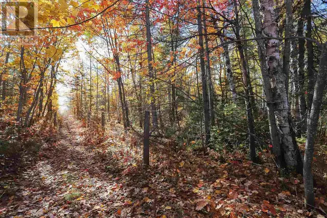 Lot 19 Nokomis Beach RD Sault Ste. Marie, Ontario in Land for Sale in Sault Ste. Marie - Image 6