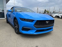 CLEAN CARFAX, LEATHER INTERIOR, Heated Front Seats, Dual Climate Zones, Digital Dash, Color Touchscr... (image 5)