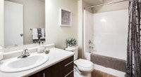 Broadstreet's Parkside Terrace offers 1, 2, and 3 bedroom pet friendly apartments for rent in the ch... (image 6)
