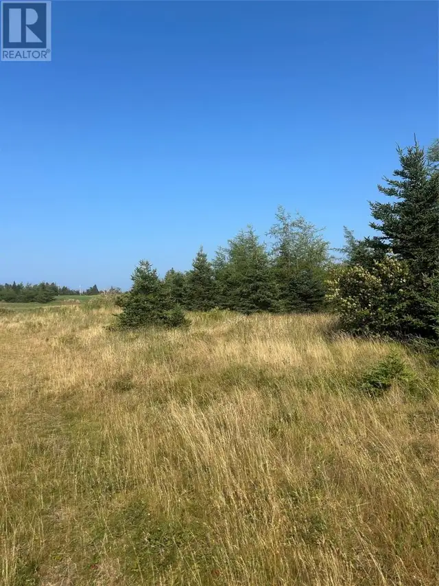 0 Beaver pond Road Road Roaches Line, Newfoundland & Labrador in Land for Sale in St. John's - Image 6