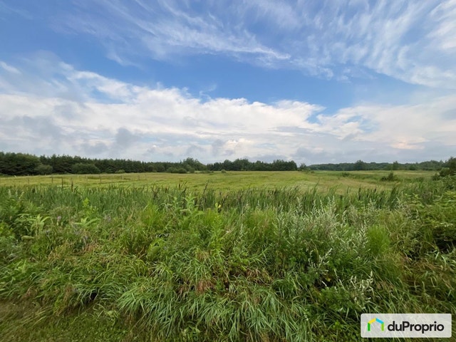 $1,268,000 - Acreage / Hobby Farm / Ranch in St-Antoine-De-Tilly — photo 1