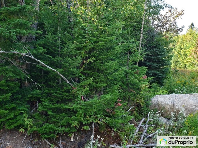$55,566 - Residential Lot for sale in Petite-Riviere-St-Francois — photo 3