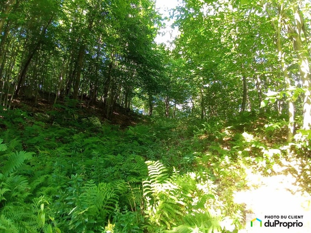 $745,000 - Residential Lot for sale in Brownsburg-Chatham — photo 3