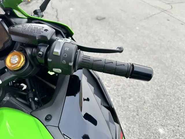 2024 Kawasaki Ninja ZX-4RR KRT **KRT COLORS** in Sport Bikes in Markham / York Region - Image 18