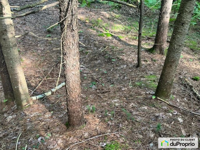 $265,000 - Residential Lot for sale in Terrebonne (Terrebonne) — photo 1