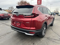 Protection pkg, all weather mats, trunk tray, sunroof, Apple CarPlay, Android Auto, backup camera, h... (image 4)