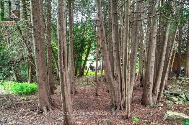 862 24TH AVENUE Hanover, Ontario in Houses for Sale in Owen Sound - Image 9