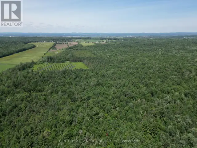 00 CONCESSION 4 ROAD Alfred and Plantagenet, Ontario in Land for Sale in Ottawa - Image 5