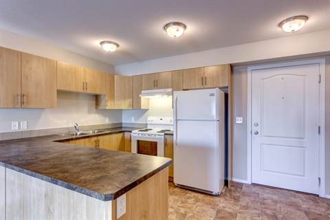 Montrose Manor - Incredible 3 Bedroom Apartment Apartment for Re 5