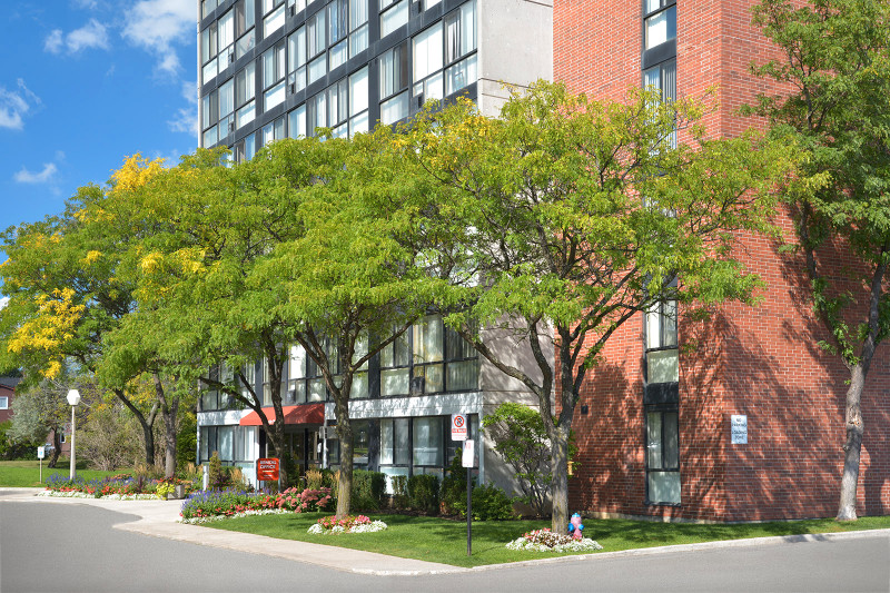 Beautiful Lakeside Three Bedroom Apartment in Mississauga Long Term Rentals Mississauga