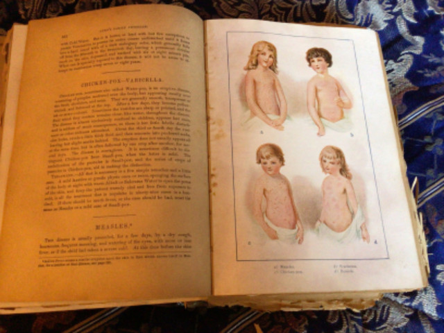 Collectable antique book on family health in Arts & Collectibles in Belleville - Image 4