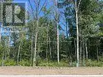 LOT 77 MAPLESIDE DRIVE Wasaga Beach, Ontario in Land for Sale in Barrie - Image 3