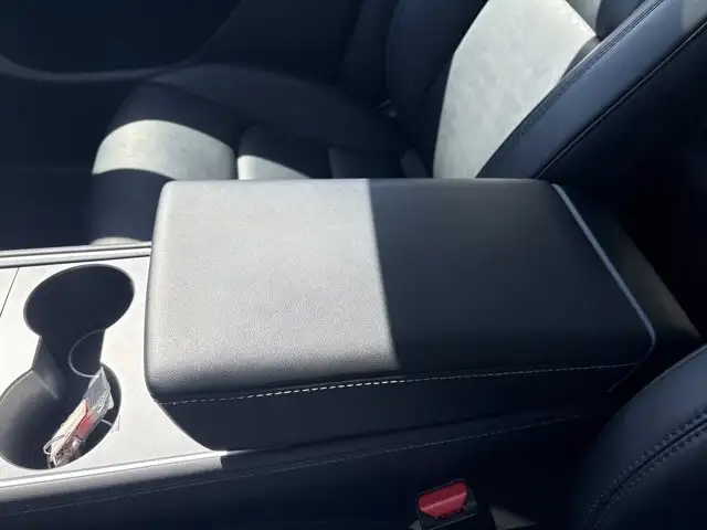 2023 Tesla Model Y Base5601878023766118415