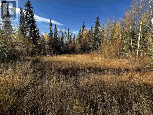 22361 STELLA ROAD Fraser Lake, British Columbia in Houses for Sale in Burns Lake - Image 40