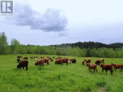 754.9 acres of prime organic agricultural land in the heart of the Cariboo. In 2 titles (320ac+434.9...