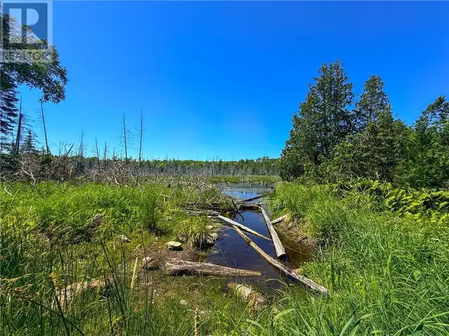 514C East Road Mindemoya, Manitoulin Island, Ontario in Land for Sale in Sudbury - Image 27