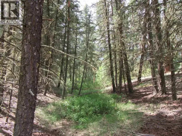 DL 2808 DONOVAN ROAD Lac La Hache, British Columbia in Land for Sale in 100 Mile House - Image 16