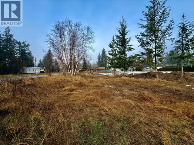 719 Parksville Street Sicamous, British Columbia in Land for Sale in Kamloops - Image 2