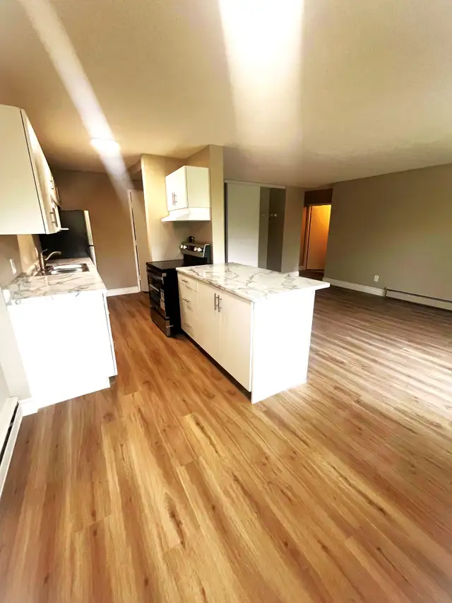 1 Month Free | Renovated 1-Bedroom | In-Suite Laundry | Balcony in Long Term Rentals in Sarnia - Image 7