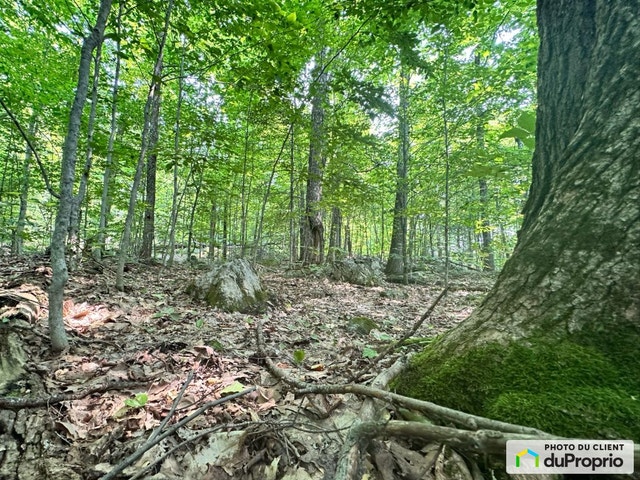 $109,000 - Residential Lot for sale in Gore — photo 1