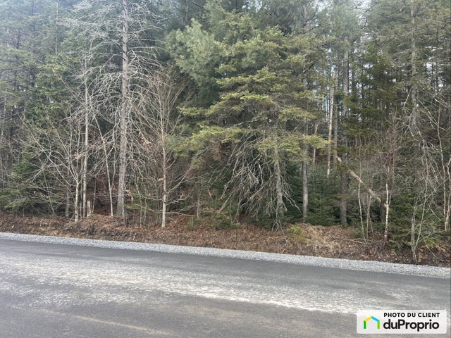 $149,500 - Residential Lot for sale in Ste-Catherine-De-Hatley — photo 1