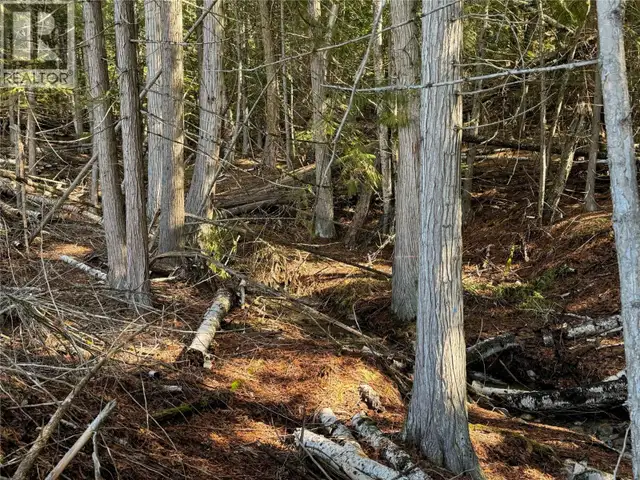 Ranch Road Lot# Lot B Vernon, British Columbia in Land for Sale in Vernon - Image 28