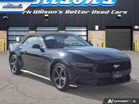 Look at this certified 2025 Ford Mustang EcoBoost Premium | Leather | Heated Wheel + Seats | CarPlay... (image 6)