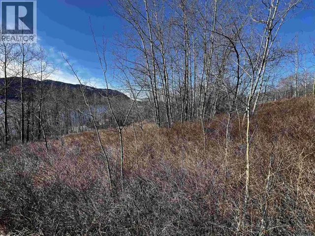 LOT 20 FRANCOIS LAKE ROAD Fraser Lake, British Columbia in Land for Sale in Burns Lake - Image 15