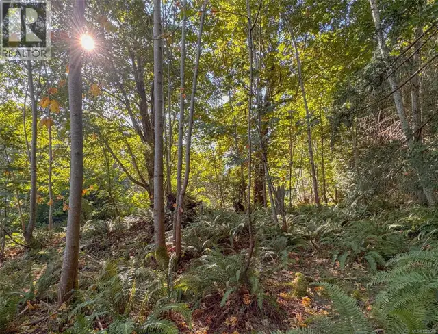 Lot 7 The Strand Gabriola Island, British Columbia in Land for Sale in Nanaimo - Image 10
