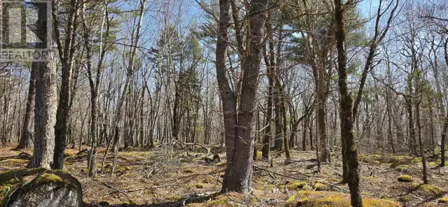 69 Sparkling Spring Lane Labelle, Nova Scotia in Land for Sale in Bridgewater - Image 19