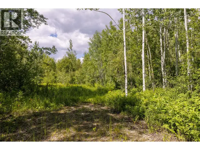 DL 5314 HORSESHOE LAKE ROAD McBride, British Columbia in Land for Sale in Quesnel - Image 6
