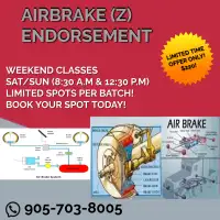 LOOKING FOR AIRBRAKE (Z) ENDORSEMENT COURSE?