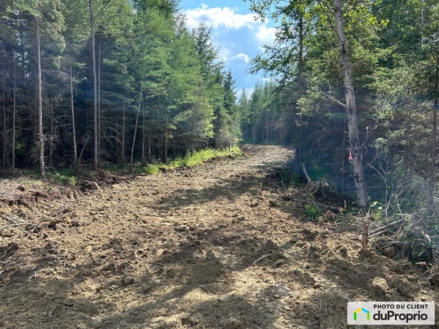 $225,000 - Wood Lot for sale in St-Felicien — photo 1