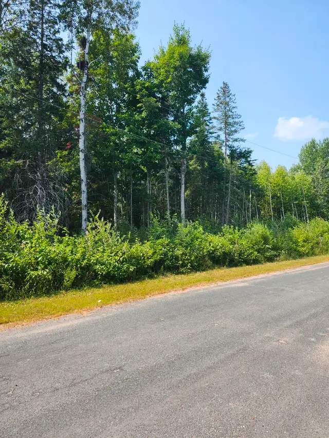 TERRAIN DE COIN À VENDRE63417674225153122